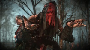 The_Witcher_3_Wild_Hunt-Witch_1407869459