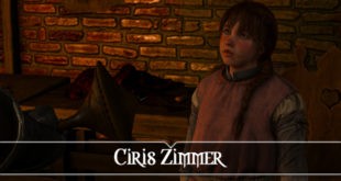 The Witcher 3: Ciris Zimmer