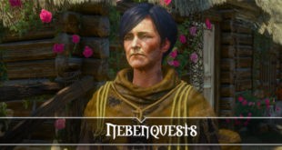 The  Witcher 3: Nebenquests