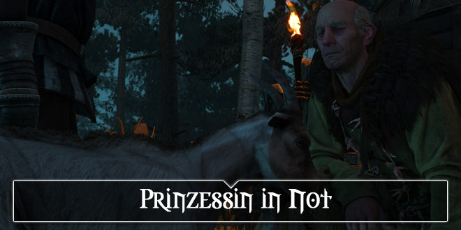 The Witcher 3: Prinzessin in Not