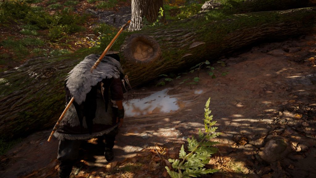 Assassin's Creed Valhalla: Die Jägerin (Walkthrough)