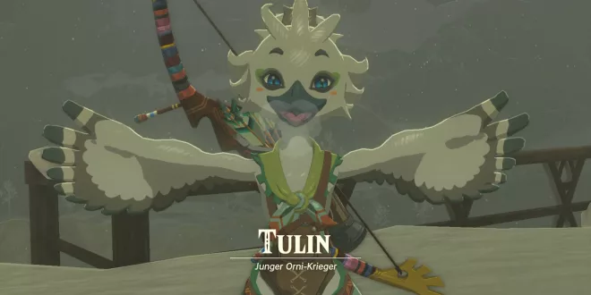 tulin aus dem dorf der orni zelda tears of the kingdom